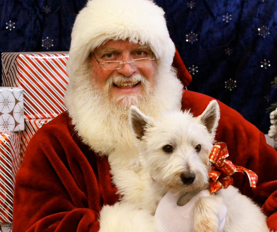 Get Your Paws on Some Holiday Cheer at Pet Supplies Plus